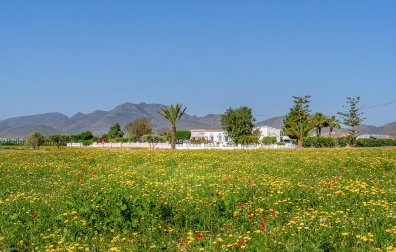 Exceptional Rico'S Country Retreat Almendricos Daire Puerto Lumbreras Dış mekan fotoğraf